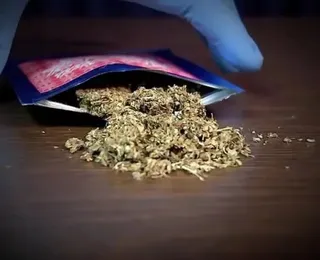 Maconha será reclassificada como droga 'menos perigosa' nos EUA
