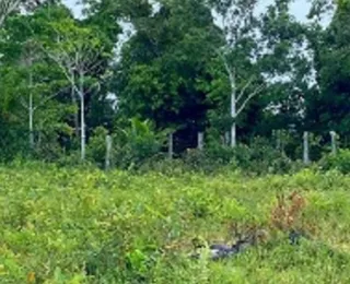 Mulher encontrada morta na BR é identificada pela polícia