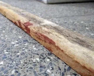 Nova Richthofen? Menina de 14 anos mata a mãe a pauladas com o namorado