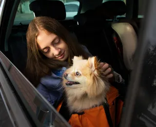 Nova lei proíbe motoristas de aplicativo de recusar cães
