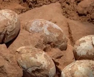 Ovos de dinossauro de 72 milhões de anos surpreendem arqueólogos
