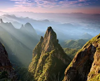 Parque Nacional da Serra dos Órgãos lidera ranking de riqueza de flora