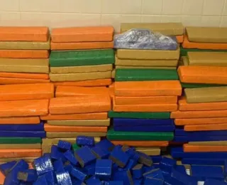 Polícia apreende quase 1 tonelada de maconha em Simões Filho