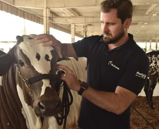 Profissão em alta: como trabalham os veterinários de animais do campo