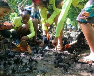 Projeto visa proteger mangue em Candeias