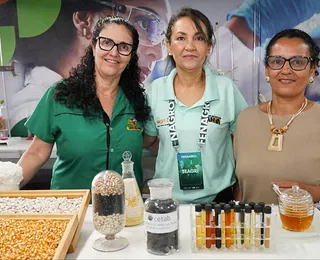 Qual é o melhor mel da Bahia? Concurso revela campeões de 2025