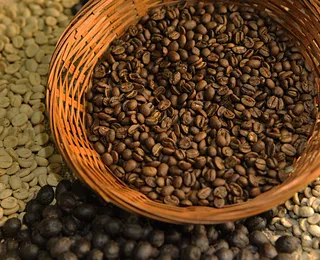 Quatro marcas de café são consideradas impróprias para consumo; veja a lista