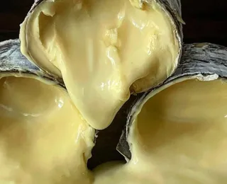 Queijo brasileiro entra na lista de melhores do mundo por revista americana