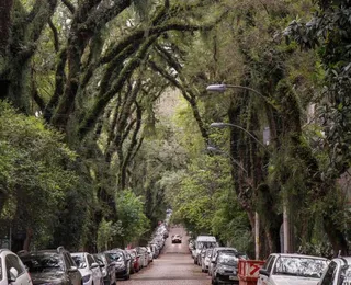 Rua no Brasil supera destinos famosos e vira a mais bonita do mundo