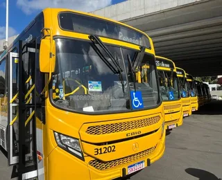 Santa Cruz e Vale das Pedrinhas ganham novas linhas de ônibus