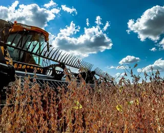 Setor agropecuário movimenta R$ 28,7 bilhões e cresce na Bahia