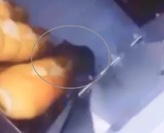 Supermercado é interditado após flagrante de ratos andando em pães