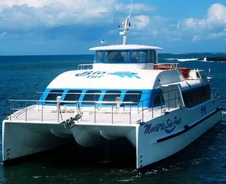 Turistas lotam catamarãs rumo a Morro de São Paulo para o Réveillon