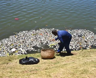 Vídeo: centenas de peixes são encontrados mortos no Dique do Tororó