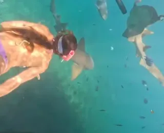 Vídeo: turista é mordida por tubarão durante mergulho em Noronha