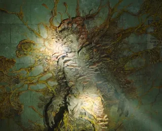 Aranha zumbi? Fungo de The Last of Us infecta criatura gigante no Brasil