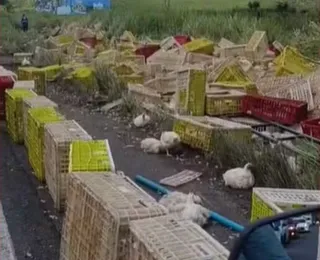 Caminhoneiro morre após carreta carregada de frangos tombar na BR-101