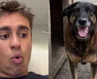 Cão Orelha: Nikolas usa caso para defender redução da maioridade penal