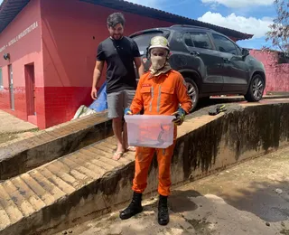 Cobra é resgatada dentro de carro na Bahia