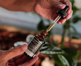 Cultivo de cannabis vai reduzir custo de medicamentos na Bahia