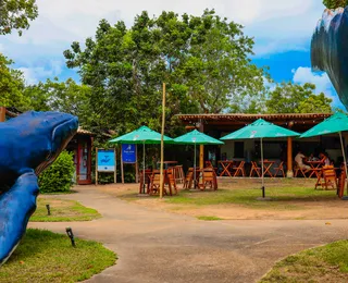 Livro e reggae no Espaço da Baleia