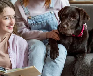 Nova lei permite enterro de pets em jazigos da família de tutores