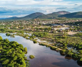 Piranhas na Bahia: entenda o comportamento desses peixes e os riscos reais para banhistas
