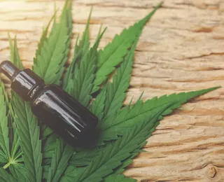 Saiba quando regras para cultivo de cannabis medicinal entram em vigor