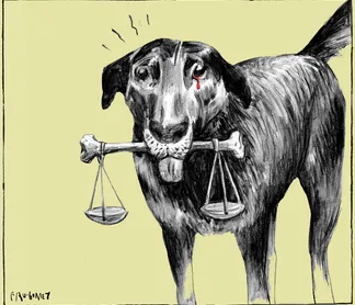 Charge do dia 27/01/2026