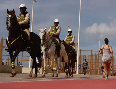 Cavalos vão reforçar segurança de Salvador ao longo do verão - Imagem