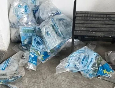 Fábrica de gelo na Bahia é interditada por produto sem procedência - Imagem