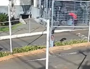 Jovem de 19 anos é espancada por ex-namorado em portaria de condomínio - Imagem