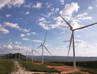 Parque eólico na Bahia é investigado por danos em comunidades - Imagem