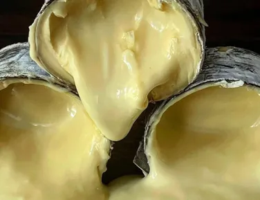 Queijo brasileiro entra na lista de melhores do mundo por revista americana - Imagem