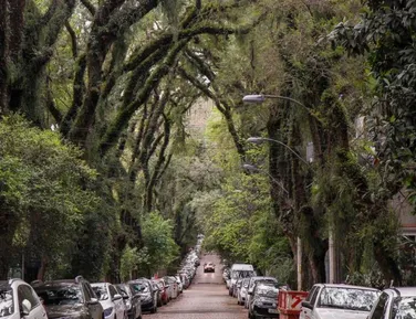 Rua no Brasil supera destinos famosos e vira a mais bonita do mundo - Imagem