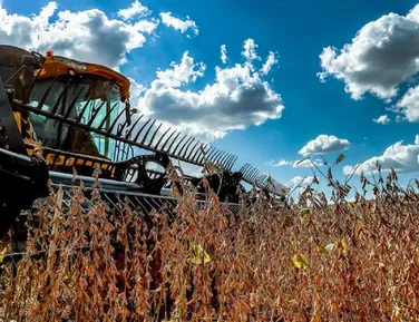 Setor agropecuário movimenta R$ 28,7 bilhões e cresce na Bahia - Imagem