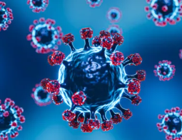 Após surto na Índia, vírus Nipah entra no radar do Brasil - Imagem