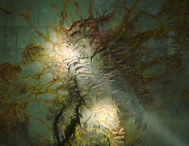 Aranha zumbi? Fungo de The Last of Us infecta criatura gigante no Brasil - Imagem