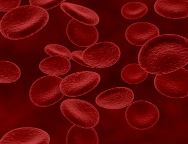 Câncer do colo do útero: Novo exame usa sangue menstrual para detecção - Imagem