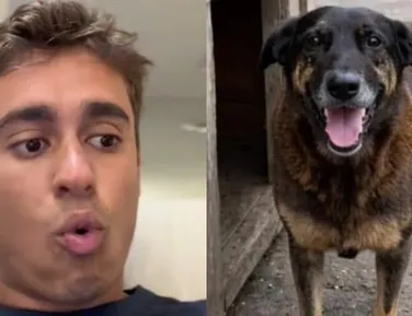 Cão Orelha: Nikolas usa caso para defender redução da maioridade penal - Imagem