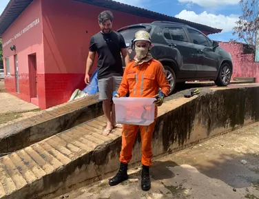 Cobra é resgatada dentro de carro na Bahia - Imagem