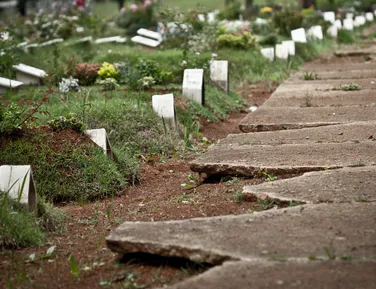 Doença letal tem primeira morte confirmada no Brasil em 2026 - Imagem