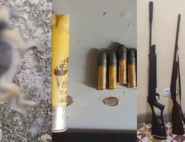 Homem é preso após matar cachorro do vizinho a tiros - Imagem