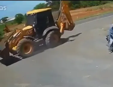 Trabalhador morre após ser atacado por abelhas na Bahia - Imagem