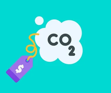 2026, lei do carbono em vigor - Imagem