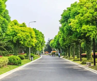 80% dos clientes consideram essencial as áreas verdes no entorno dos imóveis - Imagem