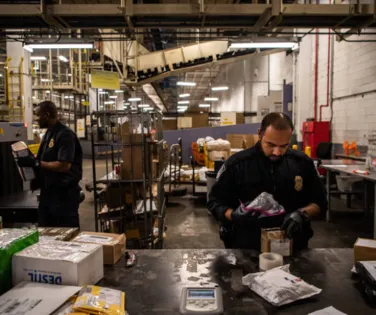 Alerta: sedativo para animais cria crise de abstinência mortal - Imagem