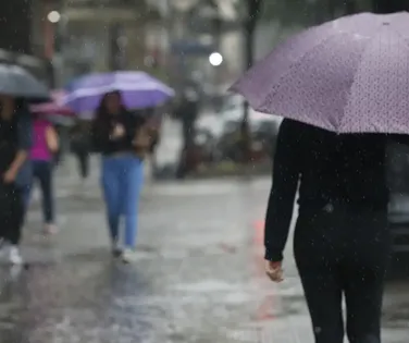 ‘Cacau vai cair!’: 153 cidades da Bahia entram em alerta para chuvas - Imagem