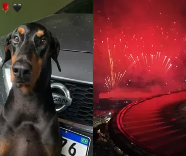 Cachorro de cantor morre durante final da Libertadores: “Ação irresponsável" - Imagem