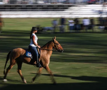 Campo, cidade, Bahia e o mundo: Fenagro - Imagem